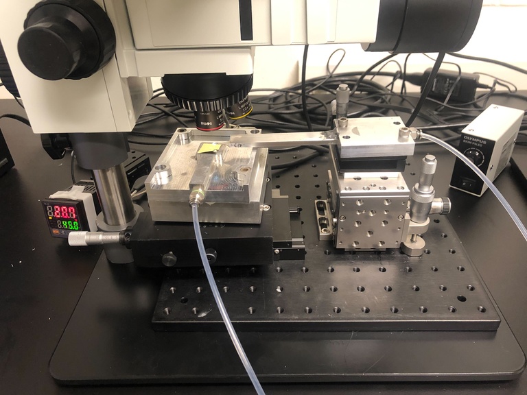 Folland Lab 2D transfer Tool