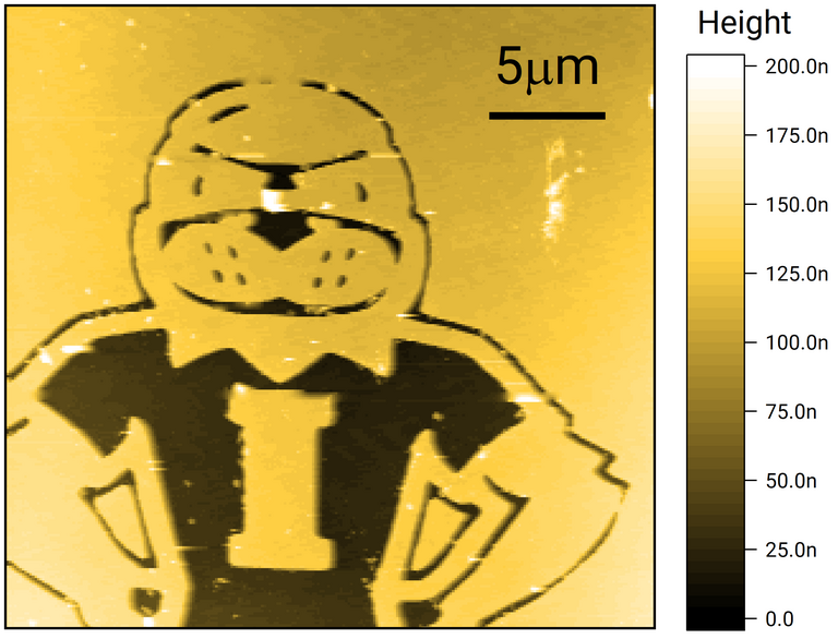 Herky AFM image