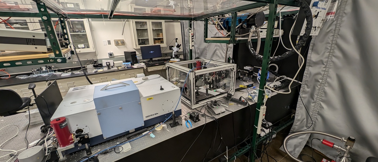 Lab