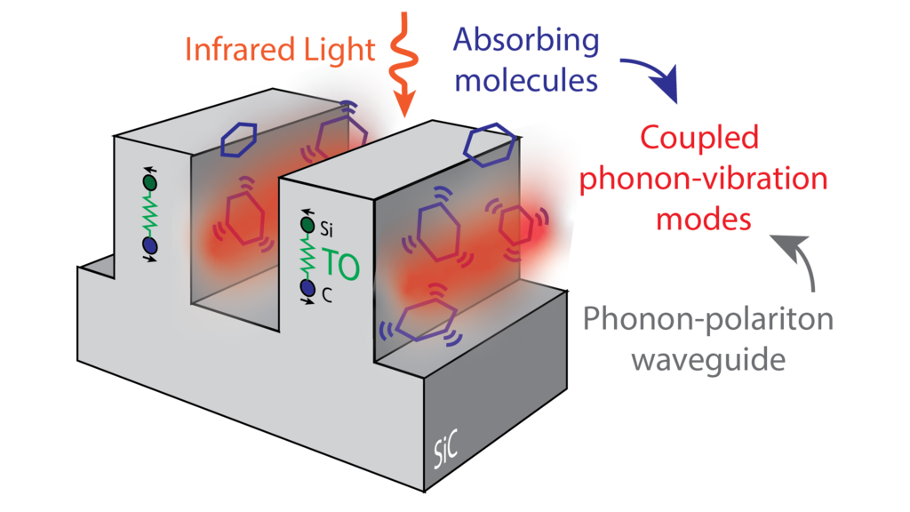 ACS Photonics Strong coupling