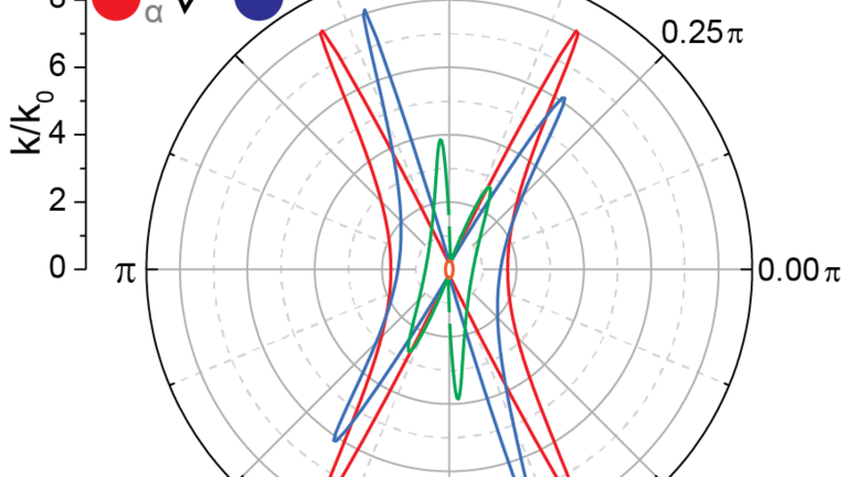 Image from grant